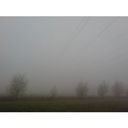 nebel